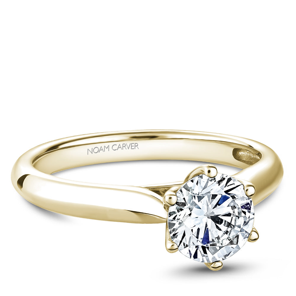 Noam Carver Engagement Ring