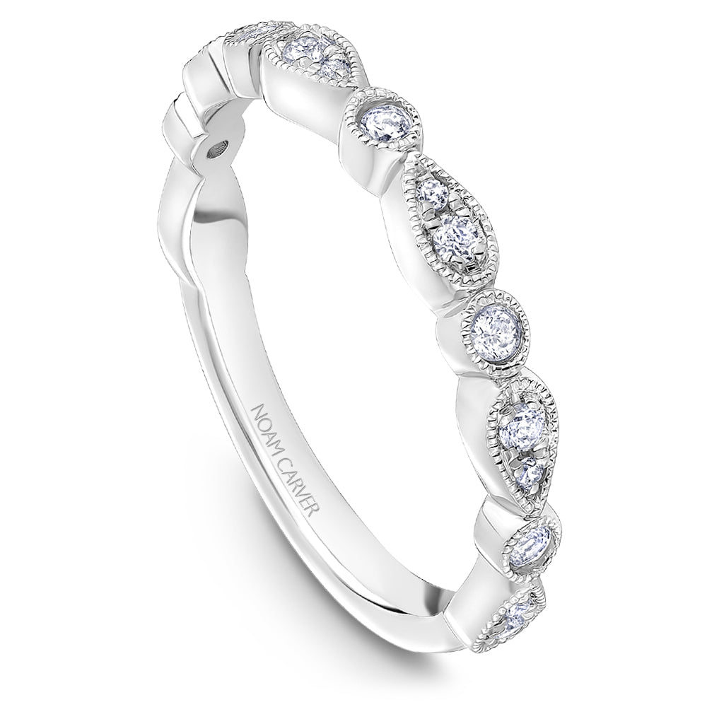 Noam Carver Matching Band