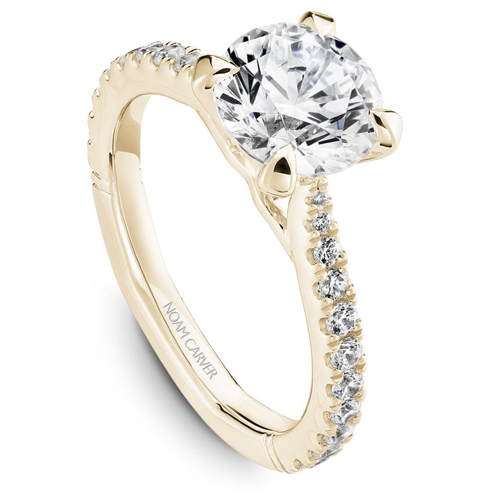 Noam Carver Engagement Ring