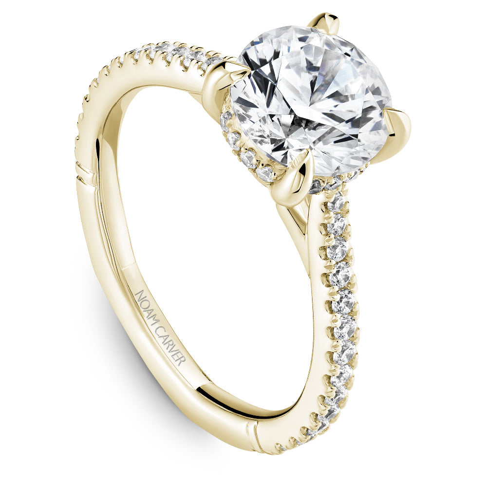 Noam Carver Engagement Ring