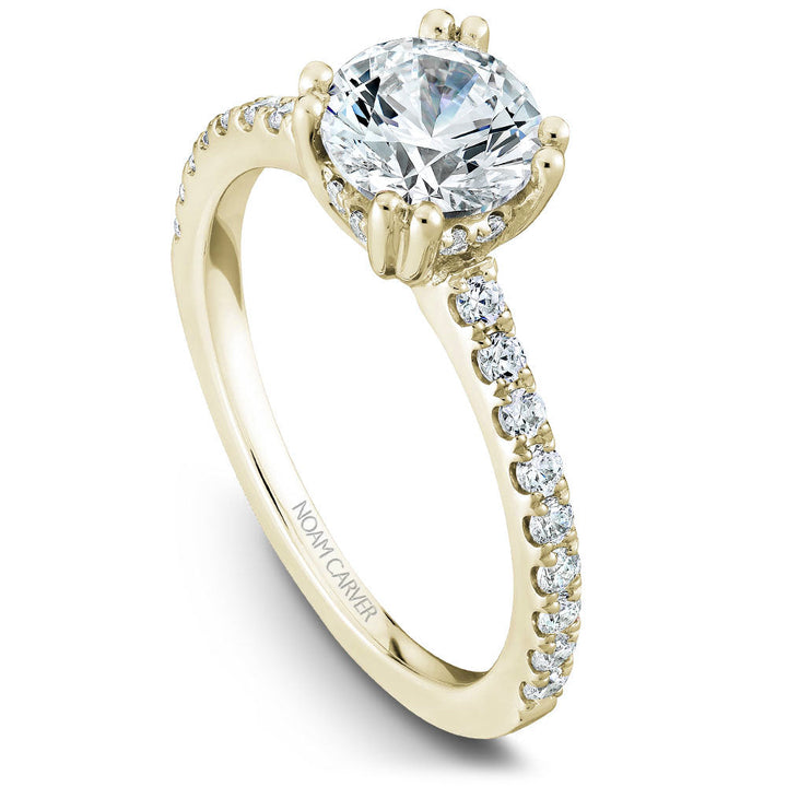 Noam Carver Engagement Ring