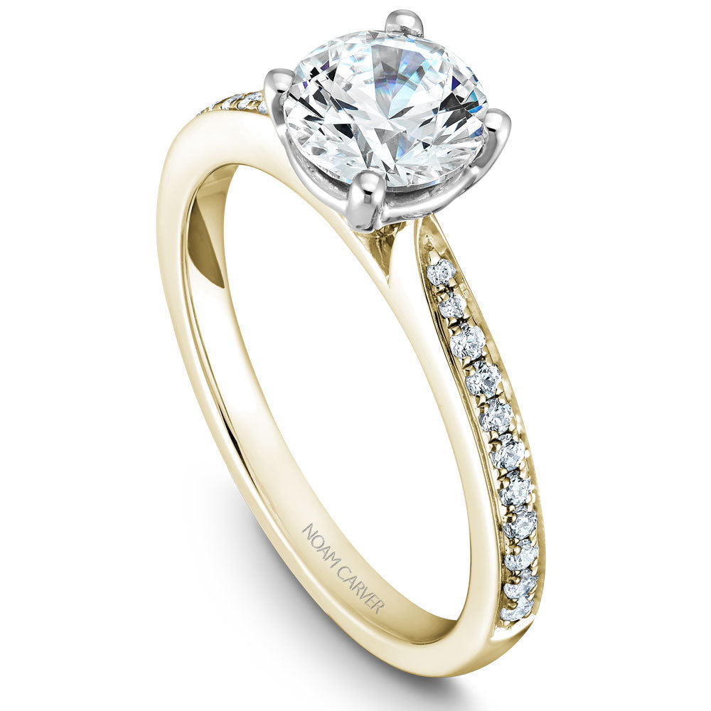 Noam Carver Engagement Ring