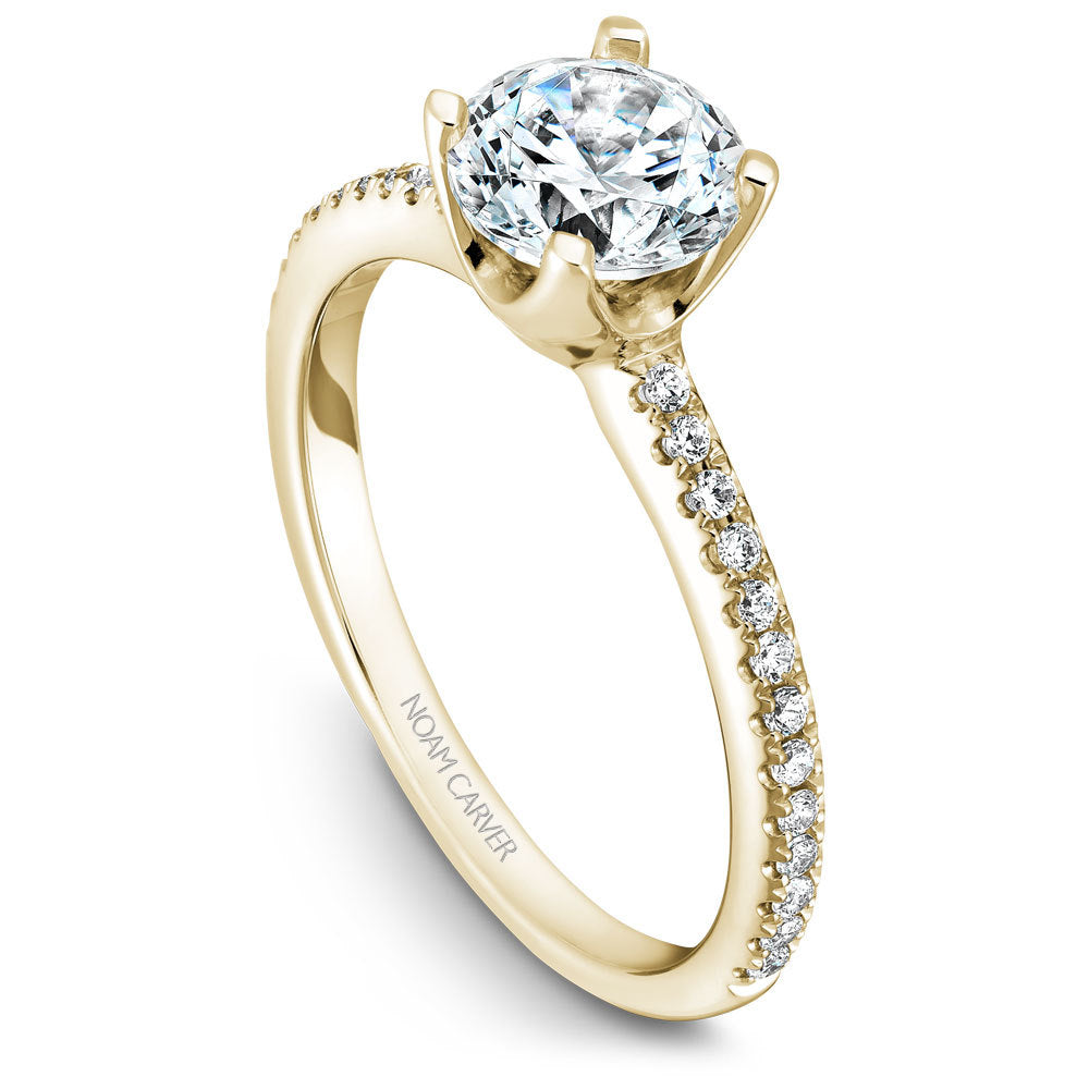 Noam Carver Engagement Ring