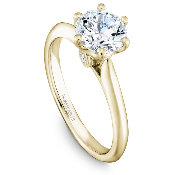 Noam Carver Engagement Ring