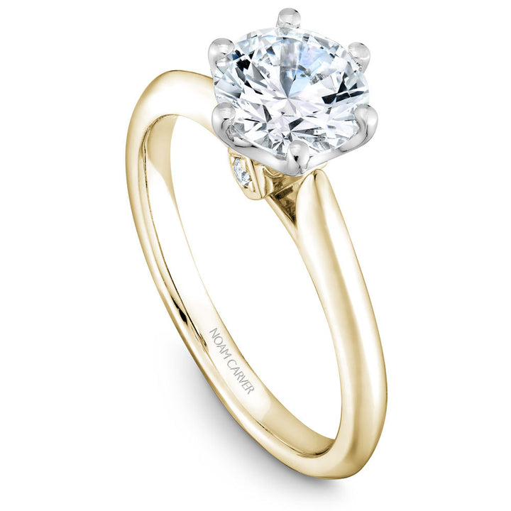 Noam Carver Engagement Ring