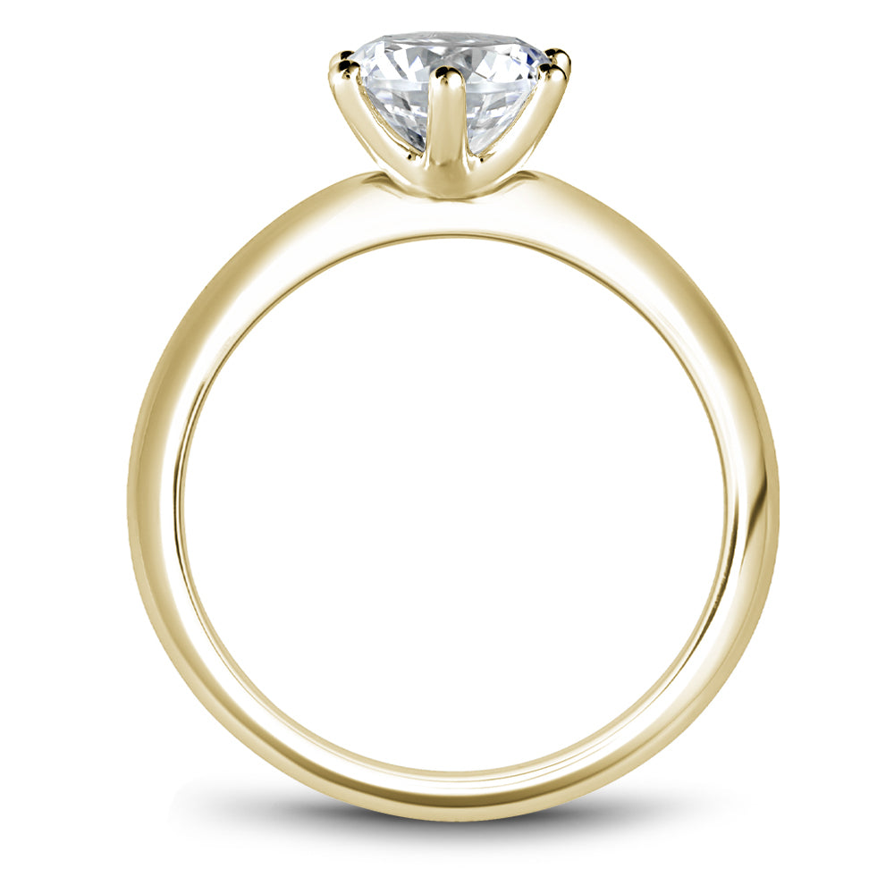 Noam Carver Engagement Ring