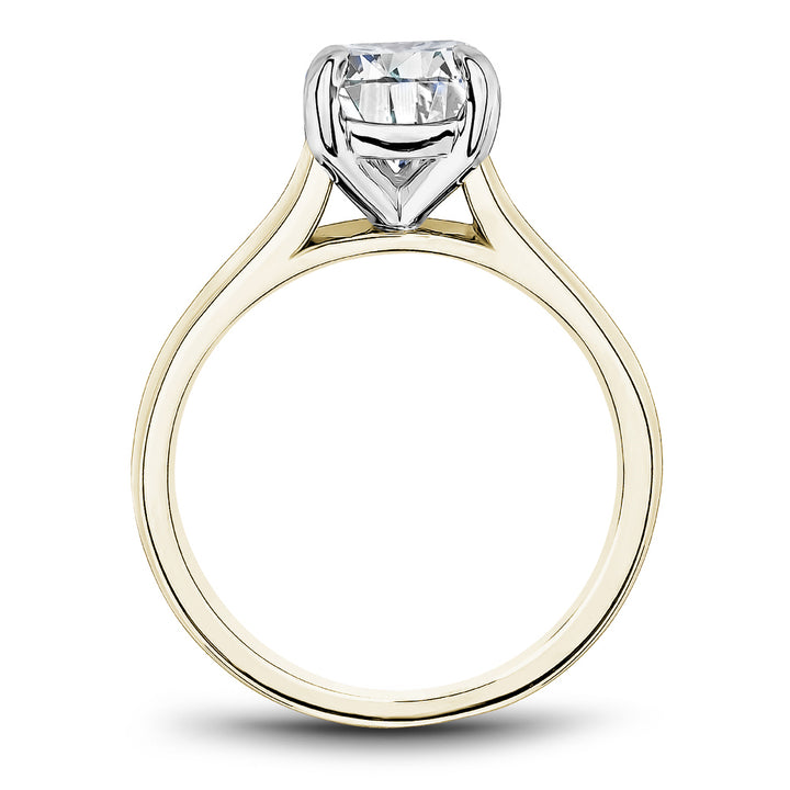 Noam Carver Engagement Ring