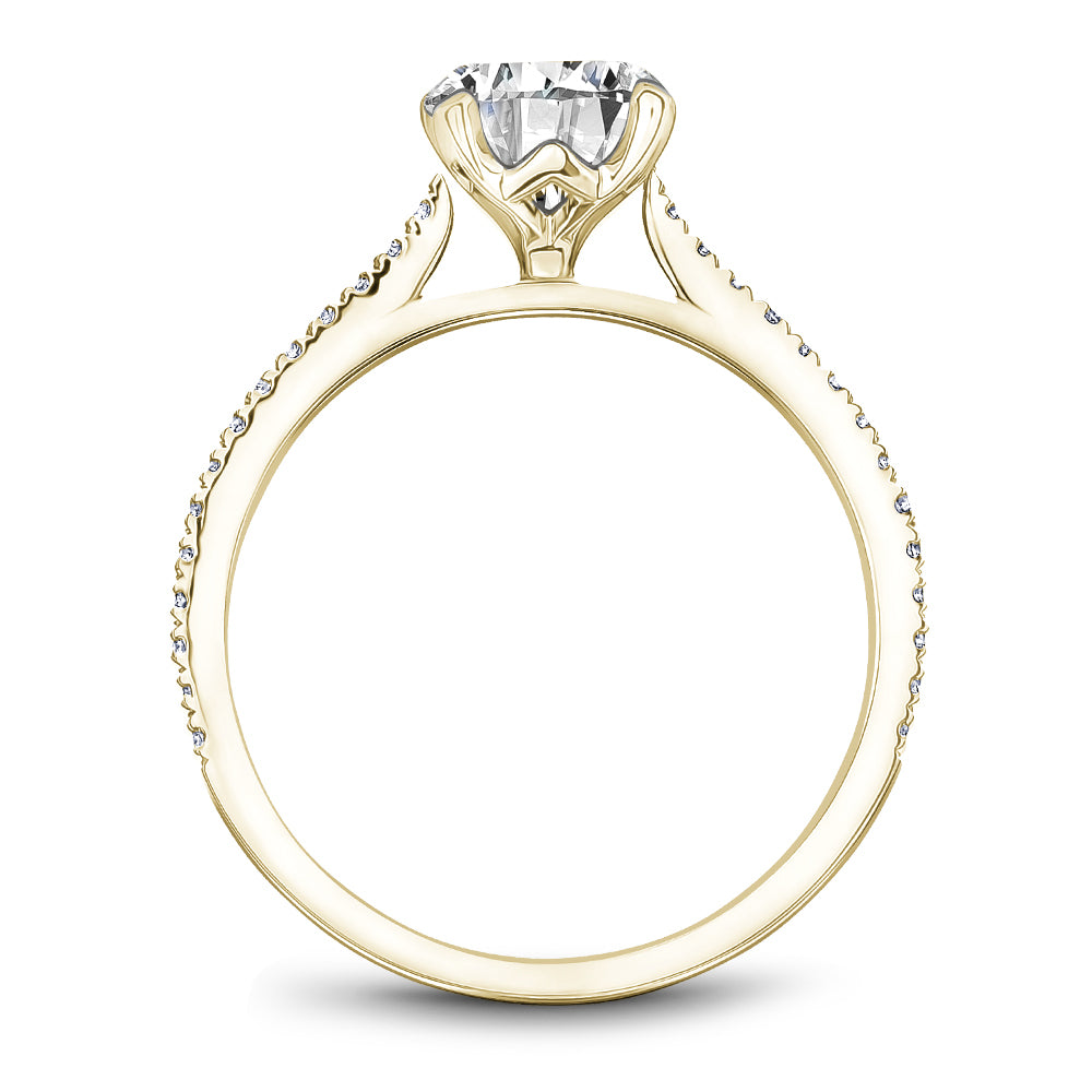 Noam Carver Engagement Ring