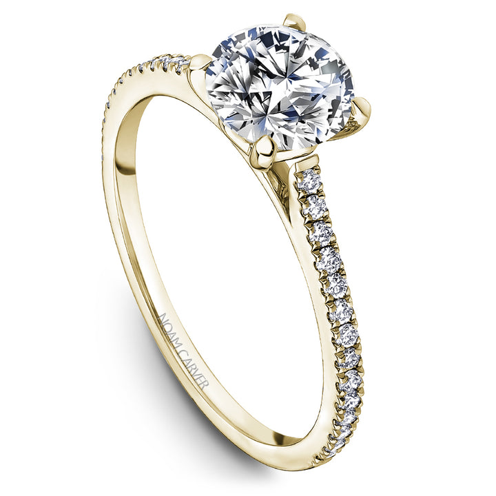 Noam Carver Engagement Ring