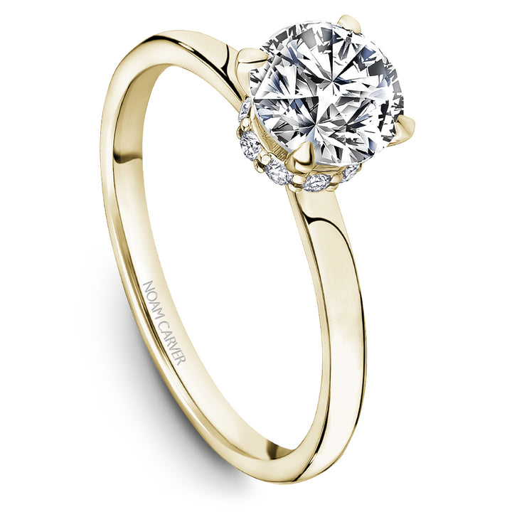 Noam Carver Engagement Ring