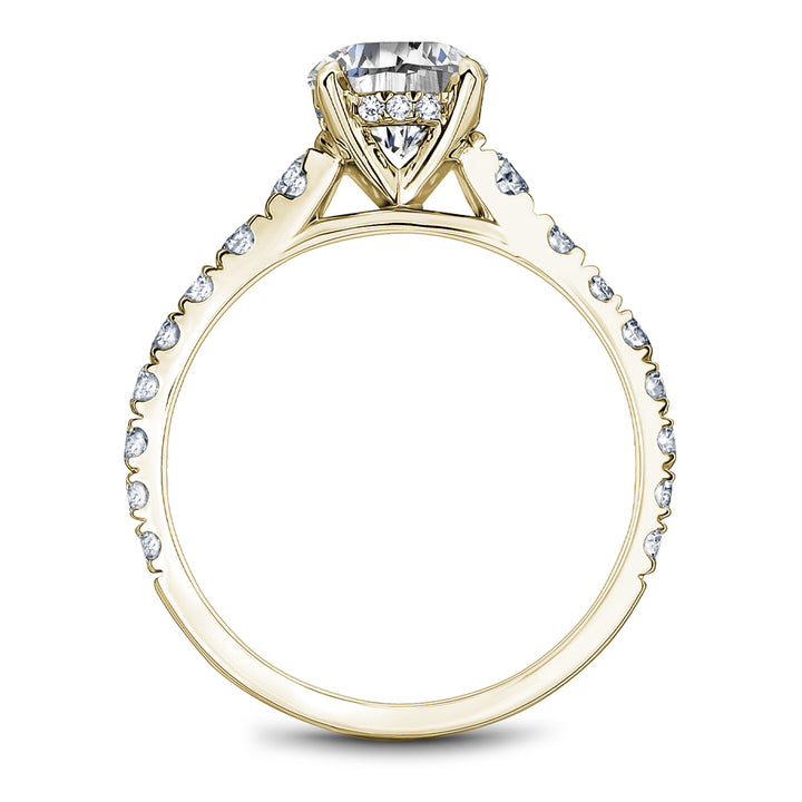 Noam Carver Engagement Ring