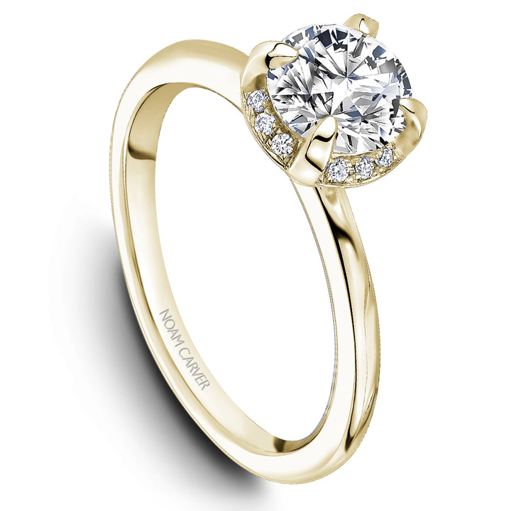 Noam Carver Engagement Ring