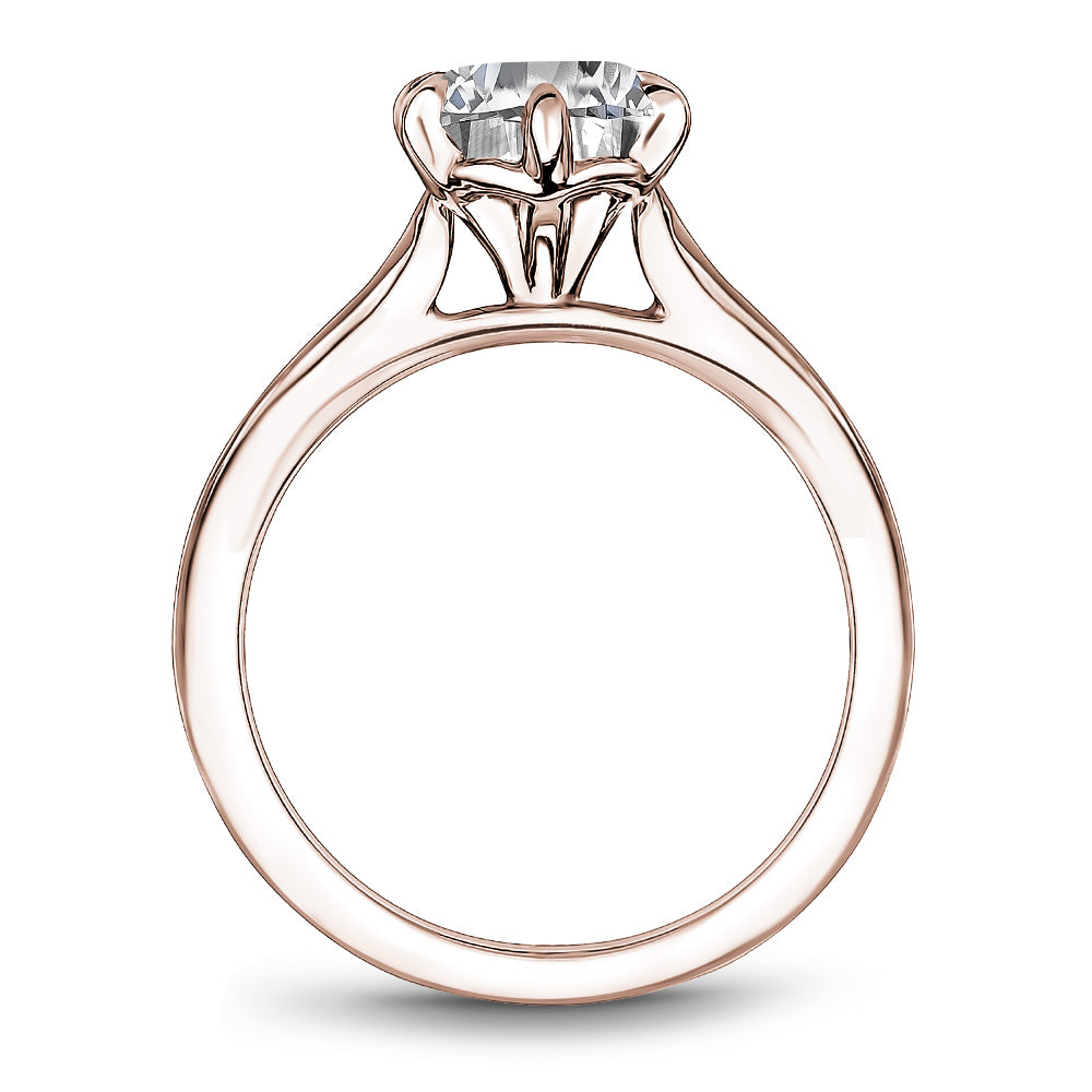 Noam Carver Engagement Ring
